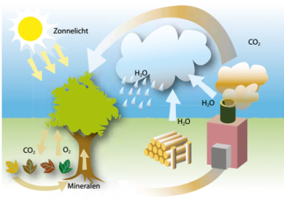 Energie uit biomassa: klimaatneutraal of toch niet?